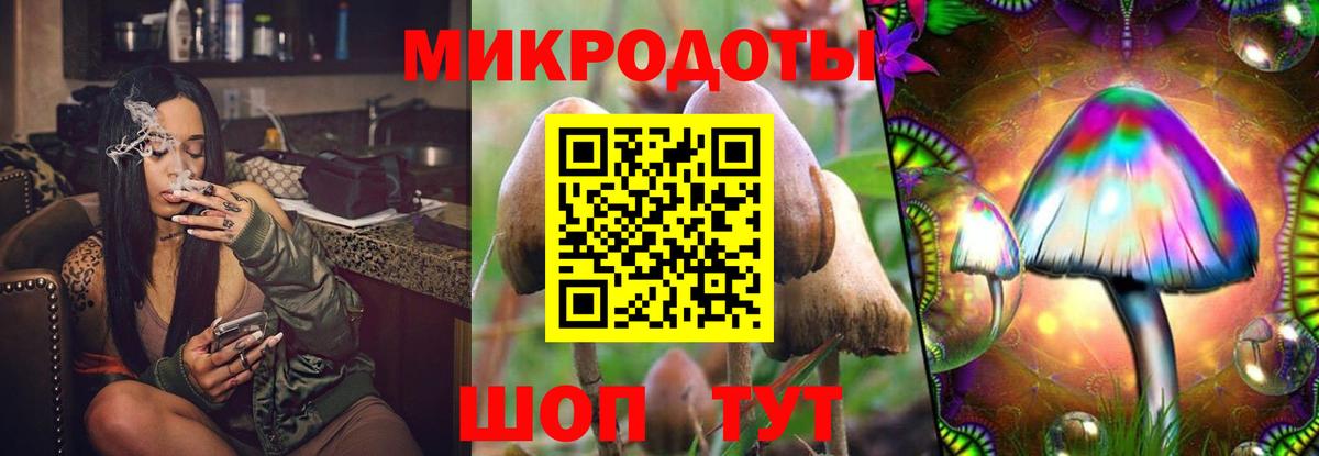 Галлюциногенные грибы Psilocybine cubensis Сердобск